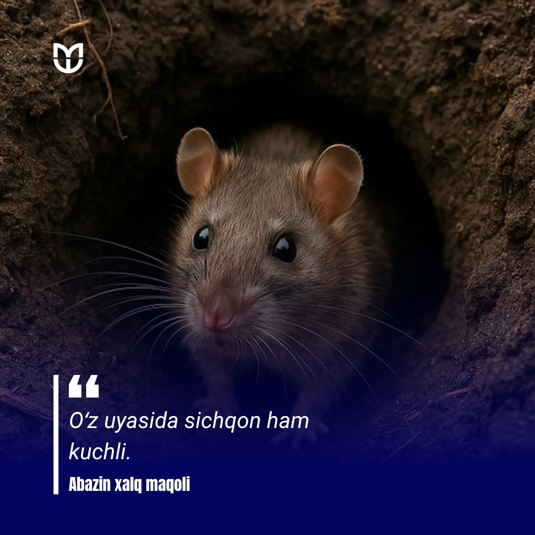 #Iqtibos