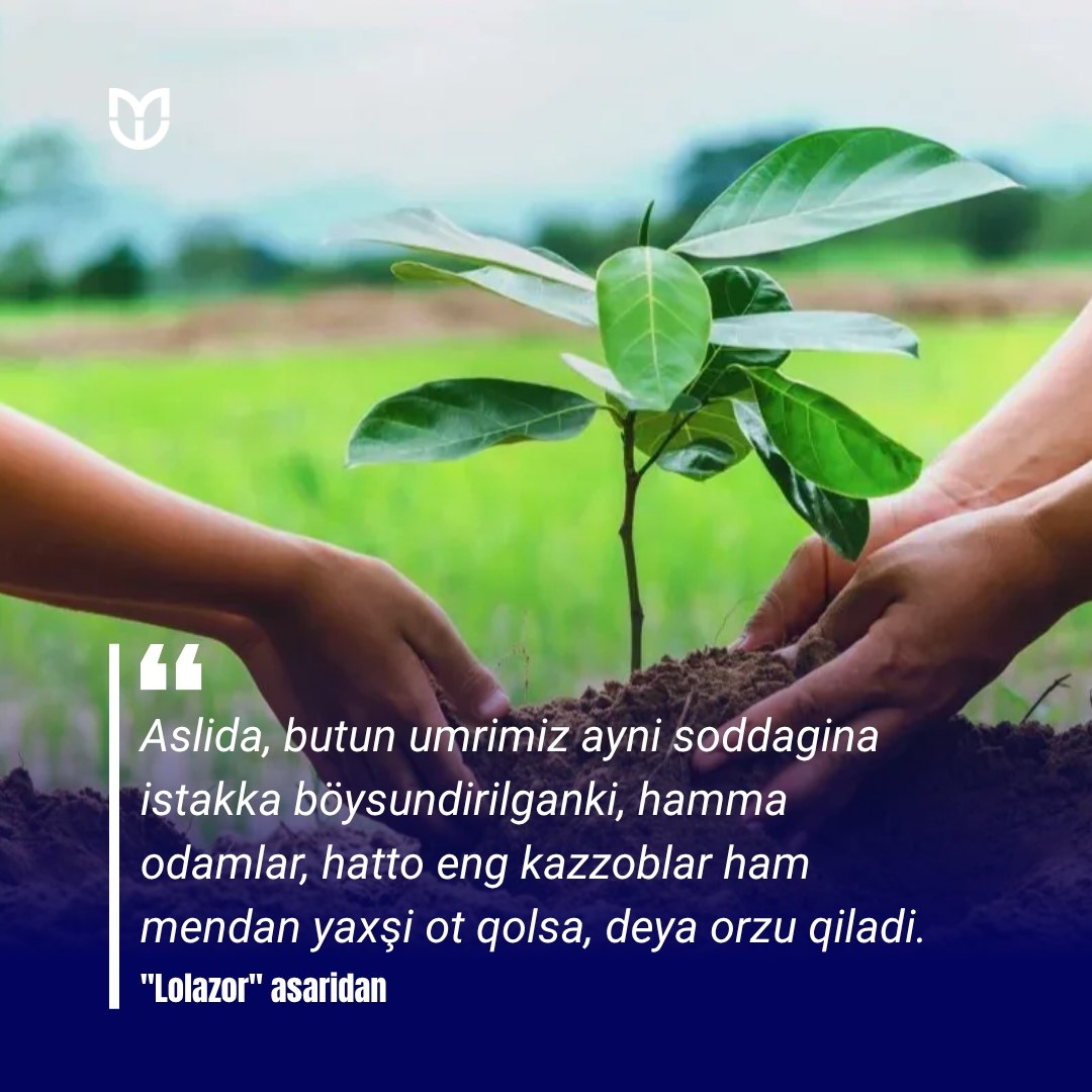 #iqtibos