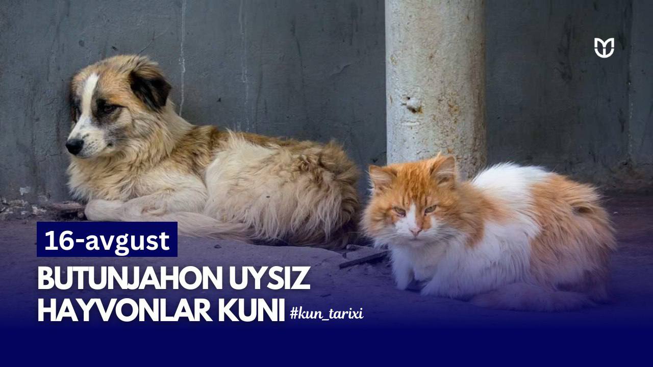 Butunjahon uysiz hayvonlar kuni